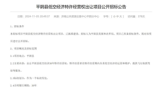 截图自平阴县政府云顶集团官网